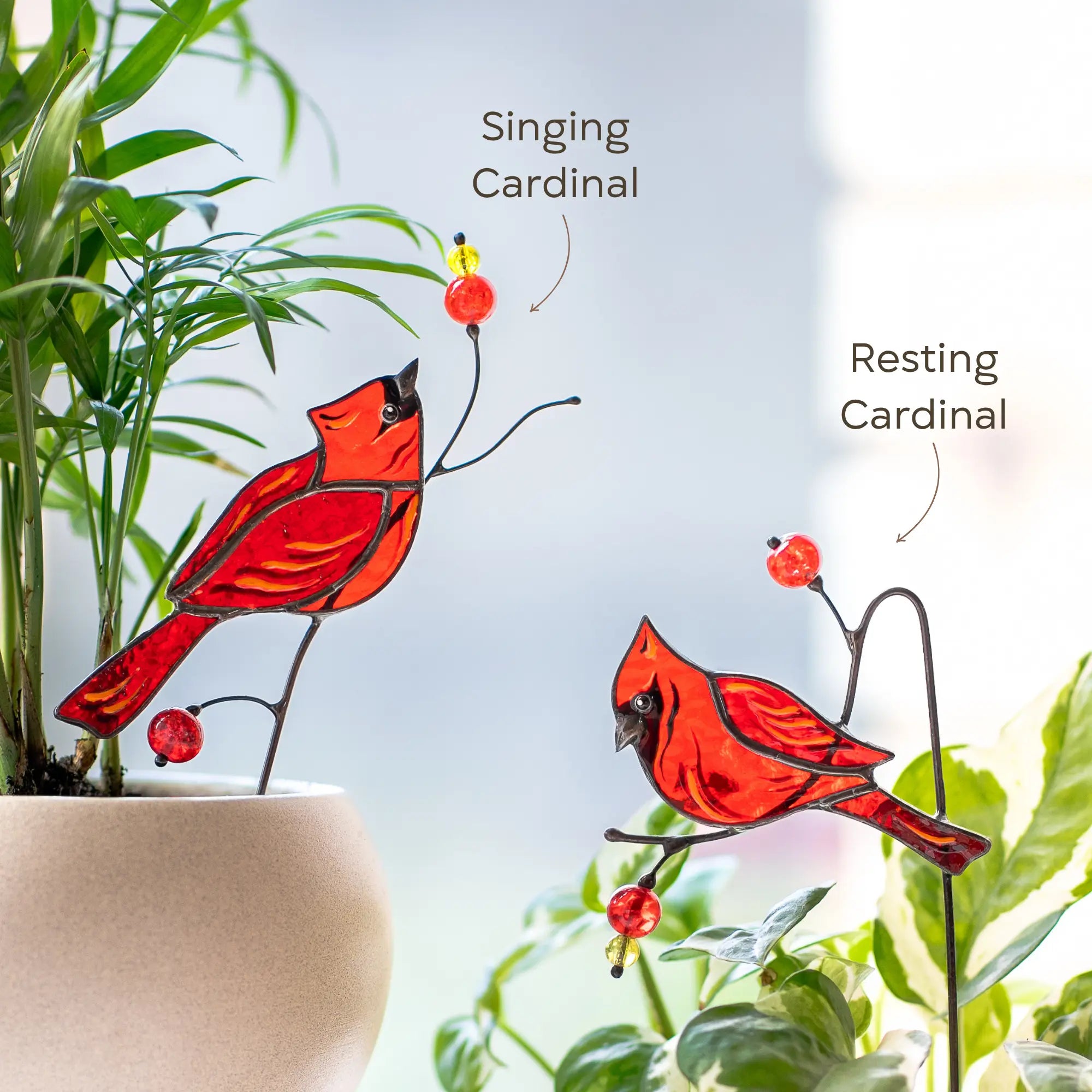 Two stained glass cardinal birds, one 'Singing Cardinal' and one 'Resting Cardinal', with labels on a plant background.