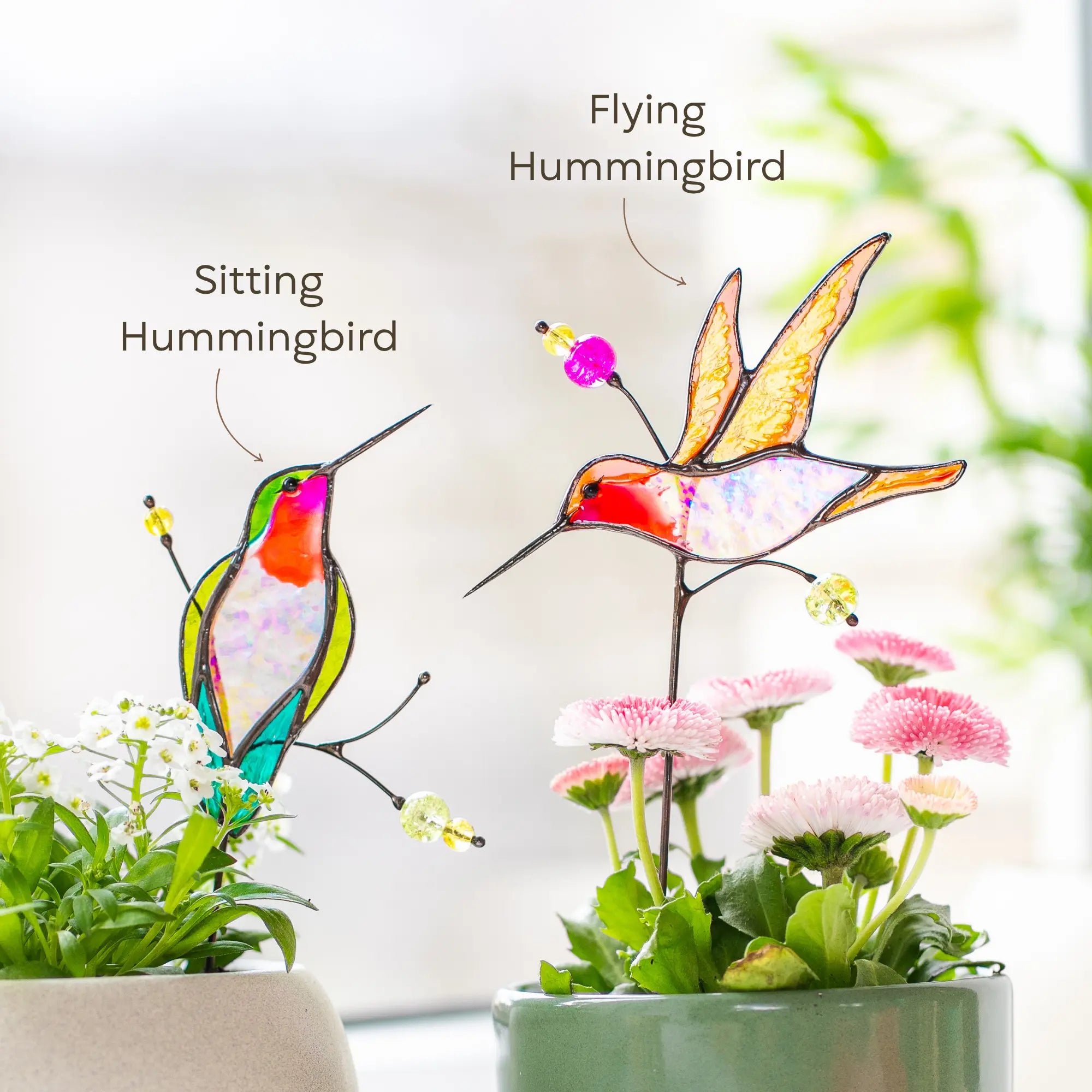 Variation of two stained glass hummingbird sculptures, one sitting and one flying, with flowers in the background.