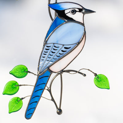 Stained glass zoomed blue jay bird