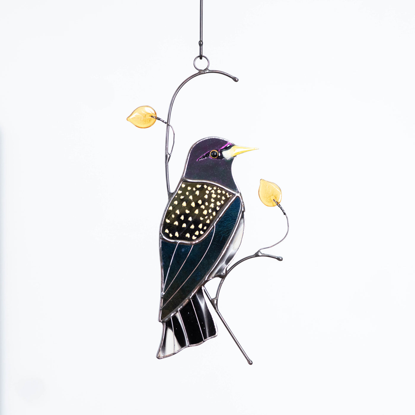 European starling bird window hanging of stained glass 