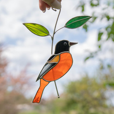 Baltimore Oriole stained glass window hanging 