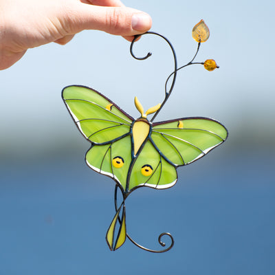 Green luna moth window hanging of stained glass