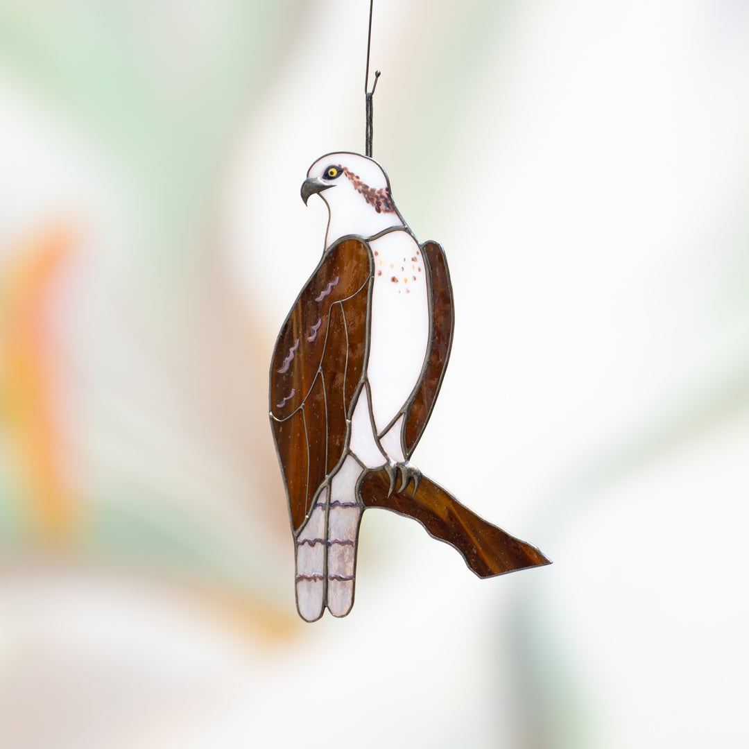 Osprey stained glass bird suncatcher outlet Eagle feathers light catcher Custom stained glass window hangings Husband gift Bird artwork