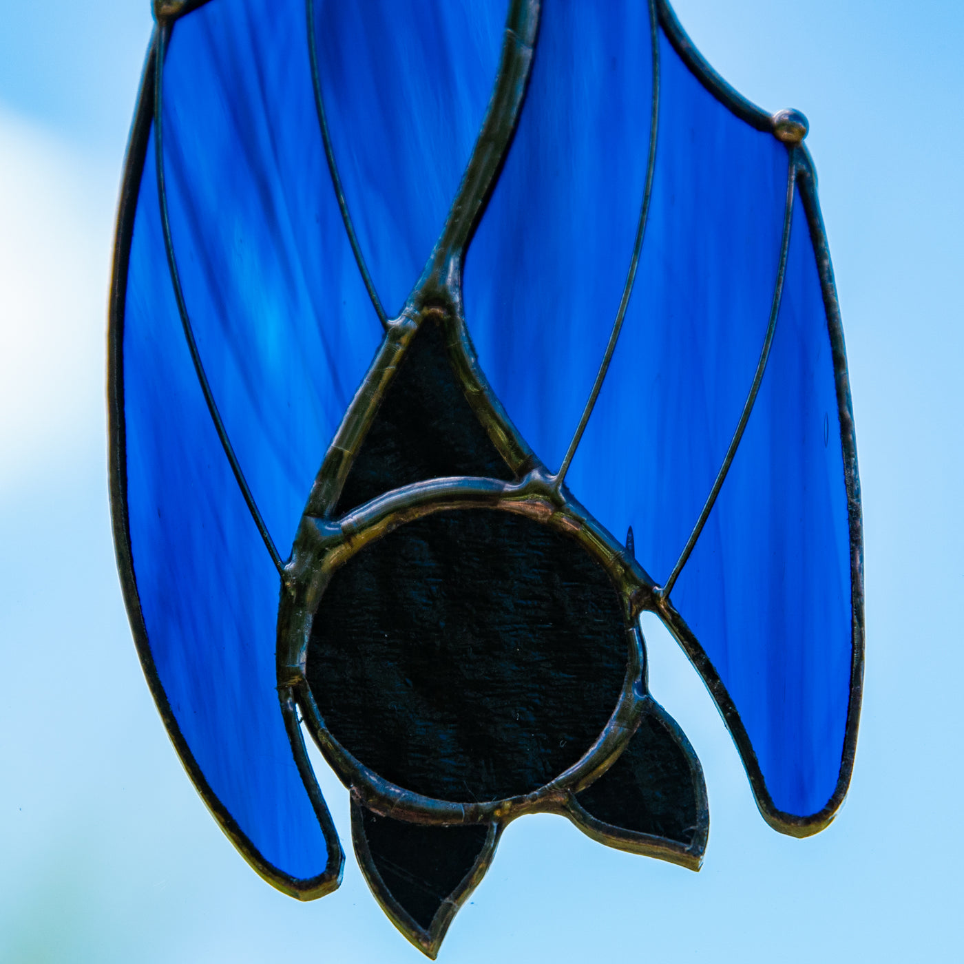 Zoomed stained glass blue sleeping bat 