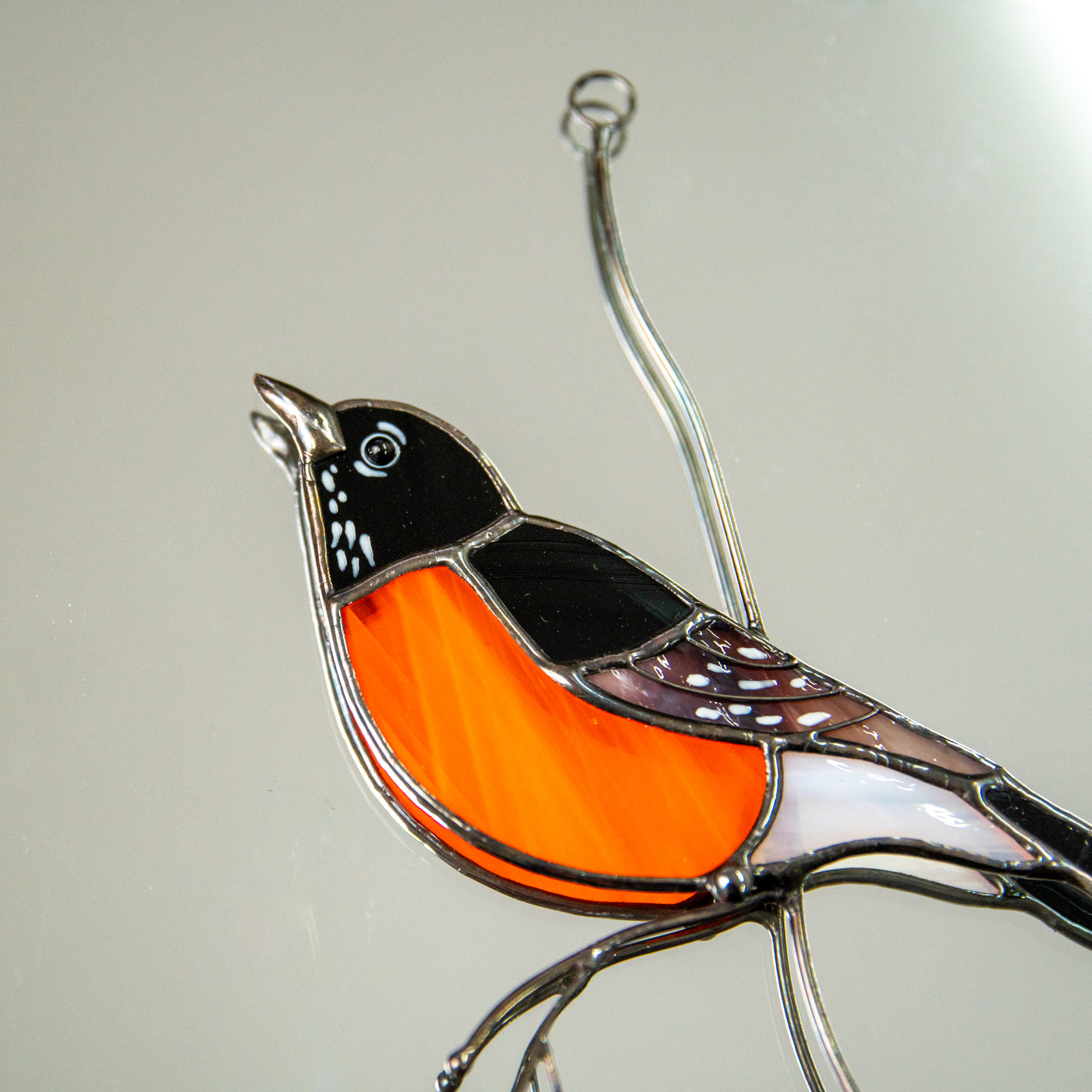 Zoomed stained glass American robin window hanging with it's details and orange tummy