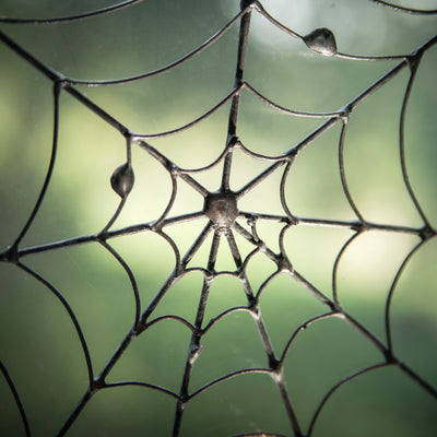 Zoomed spider web for Halloween decorations