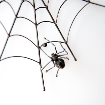 Spider on a round spider web window hanging