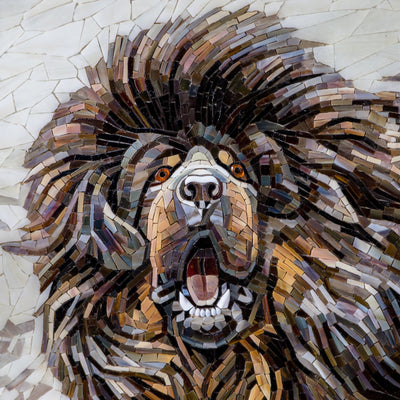Stained glass zoomed Tibetan Mastiff's snout