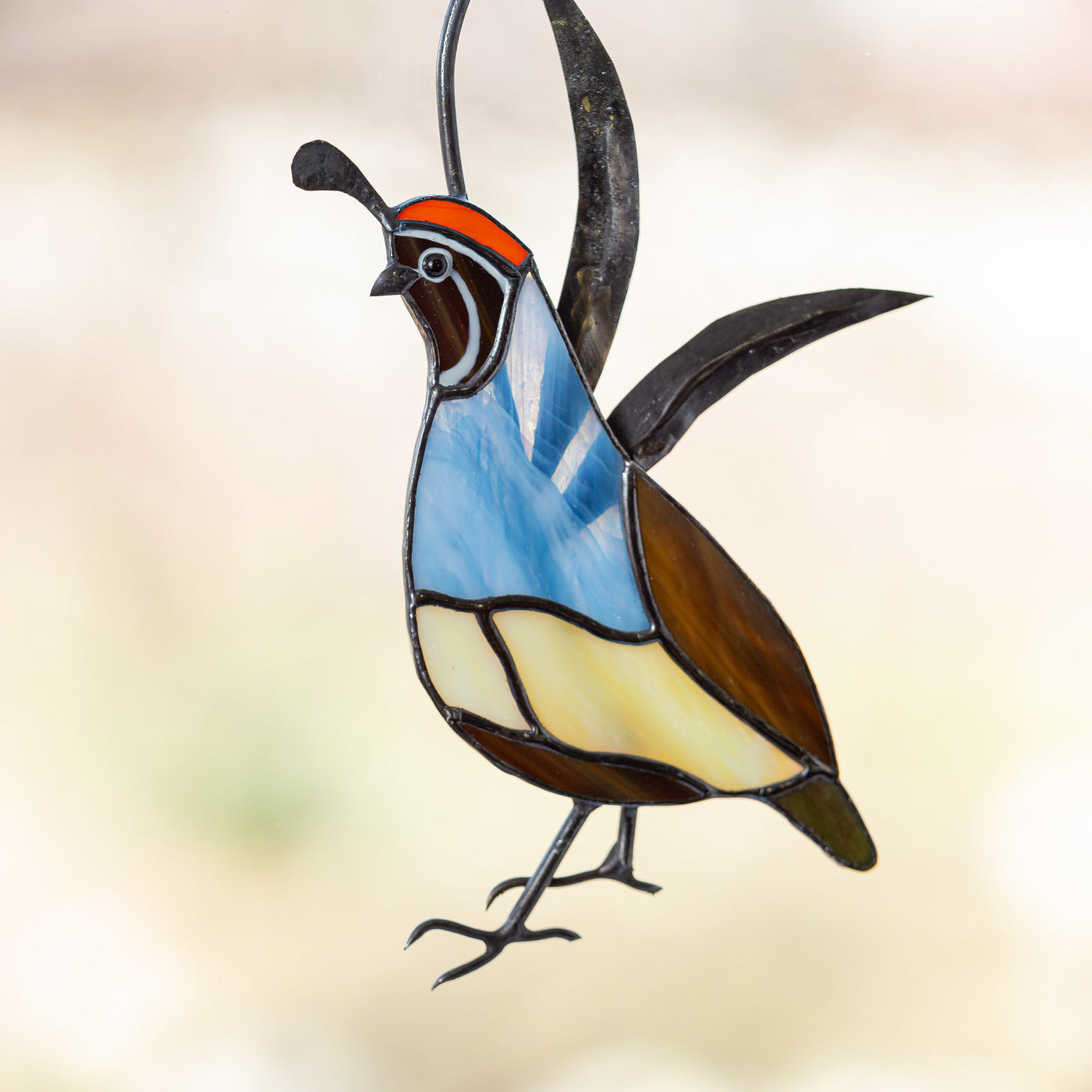 California male quail of stained glass suncatcher