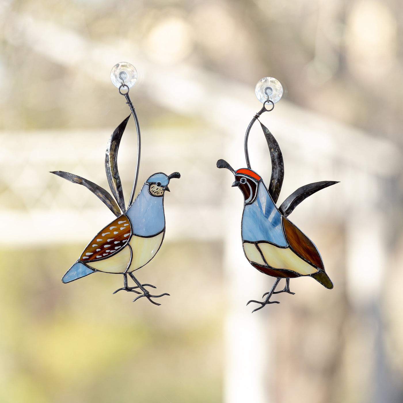 A pair of stained glass male and female California quails suncatchers